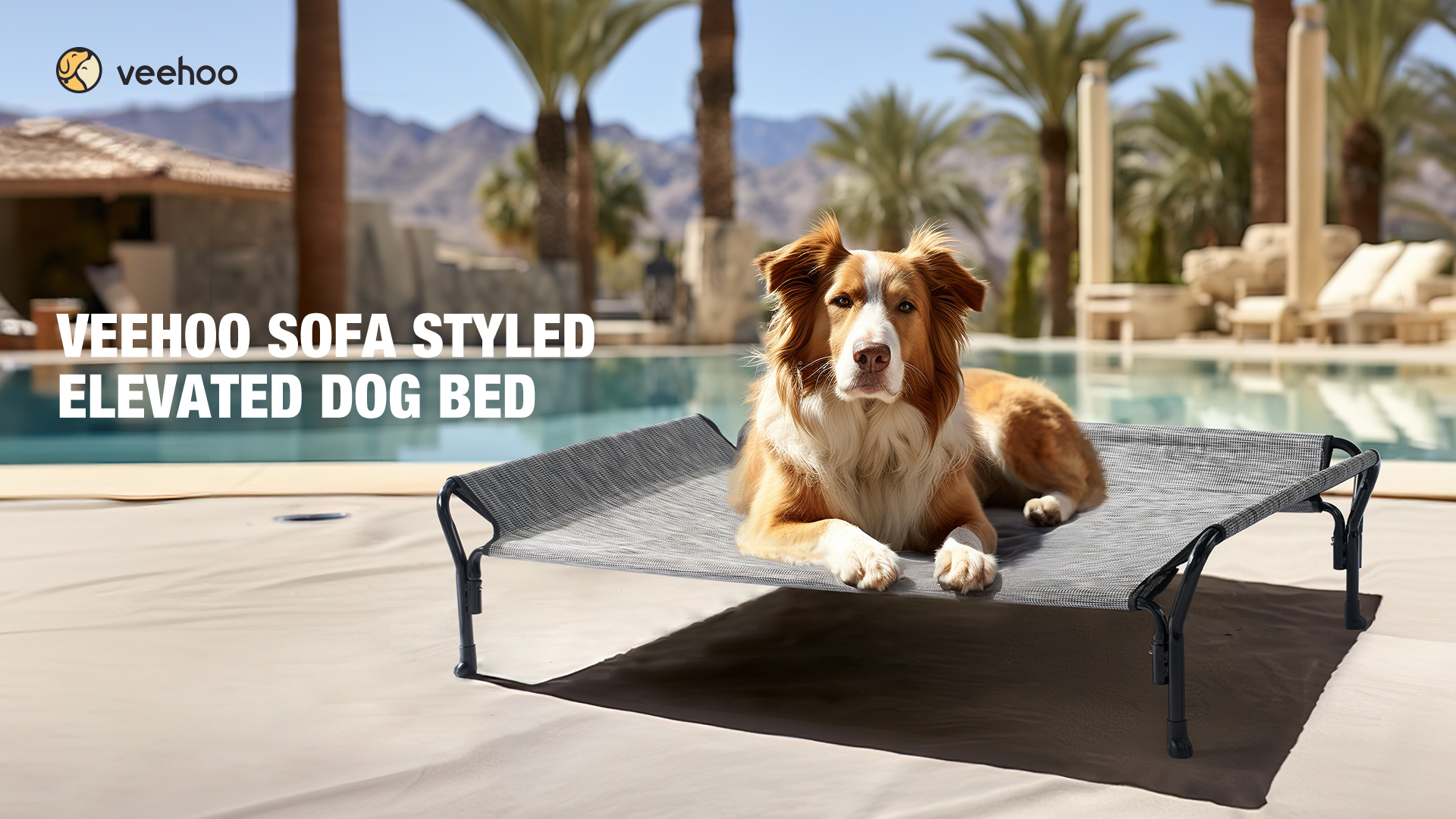 Amazon.com : Veehoo Cooling Elevated Dog Bed, Raised Pet Cot